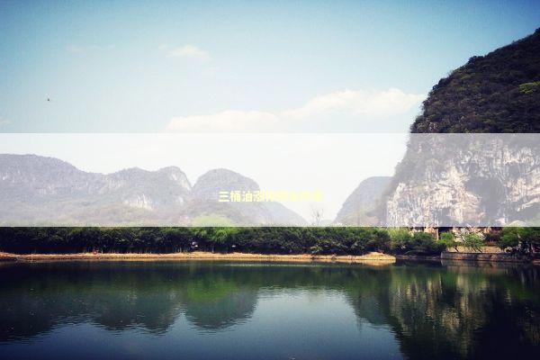 三桶油涨停网友炸锅 新闻