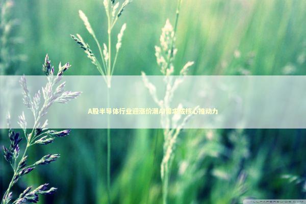 A股半导体行业迎涨价潮AI需求成核心推动力 新闻