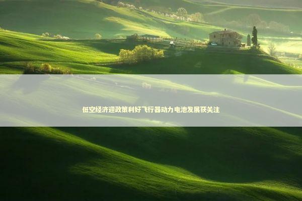 低空经济迎政策利好飞行器动力电池发展获关注 新闻