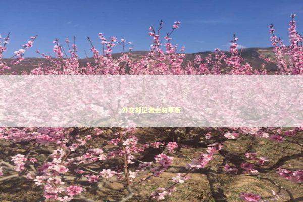 外交部记者会叙事版 外交部记者会叙事版 新闻