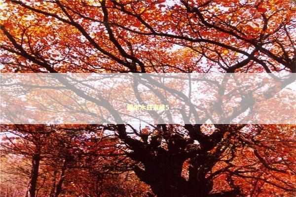 霍尔木兹海峡5 新闻