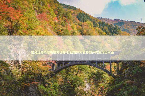 东吴证券拟控股东海证券 行业首例同省券商并购案浮出水面 东吴证券拟控股东海证券 行业首例同省券商并购案浮出水面 新闻