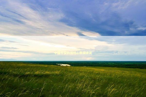 中国平安救援核心数据速览 中国平安救援核心数据速览 新闻