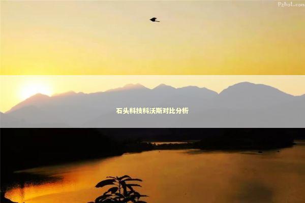 石头科技科沃斯对比分析 新闻