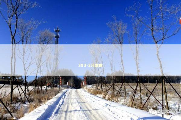 393-2月车市 393-2月车市 新闻