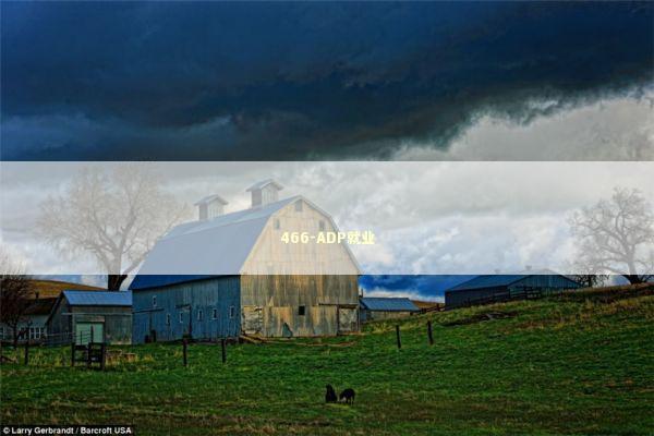 466-ADP就业 新闻