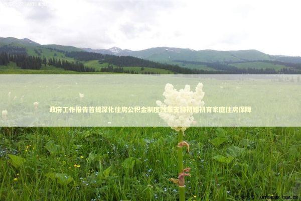 政府工作报告首提深化住房公积金制度改革支持初婚初育家庭住房保障 政府工作报告首提深化住房公积金制度改革支持初婚初育家庭住房保障 新闻