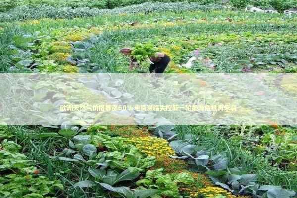 欧洲天然气价格暴涨60%电费濒临失控新一轮能源危机再来袭 新闻