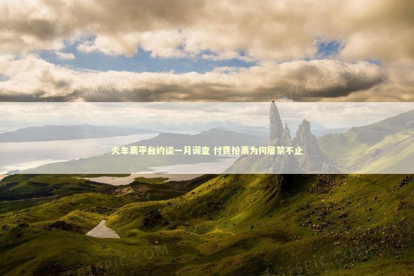 火车票平台约谈一月调查 付费抢票为何屡禁不止 新闻