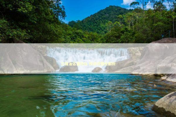 三桶油估值对比 投资价值全解析 新闻