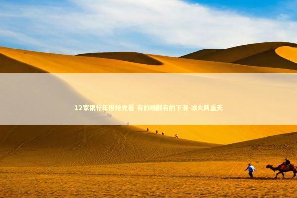 12家银行年报抢先看 有的赚翻有的下滑 冰火两重天 12家银行年报抢先看 有的赚翻有的下滑 冰火两重天 新闻