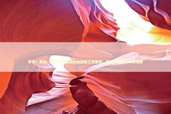 罕见！原油、燃料油、集运欧线连续三天涨停，交易所连续公布新措施 新闻