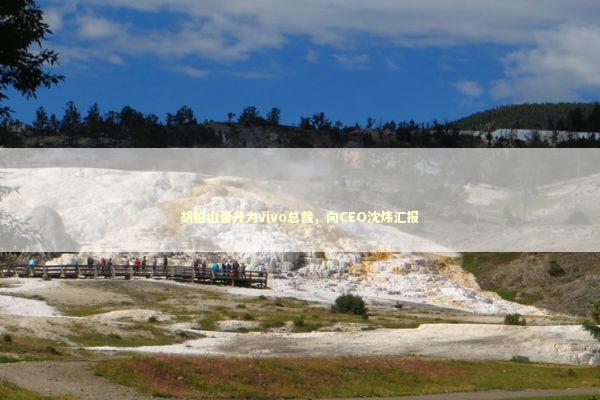 胡柏山晋升为vivo总裁,向CEO沈炜汇报 胡柏山晋升为vivo总裁,向CEO沈炜汇报 新闻