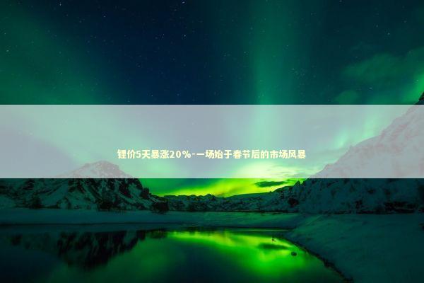 锂价5天暴涨20%-一场始于春节后的市场风暴 锂价5天暴涨20%-一场始于春节后的市场风暴 新闻
