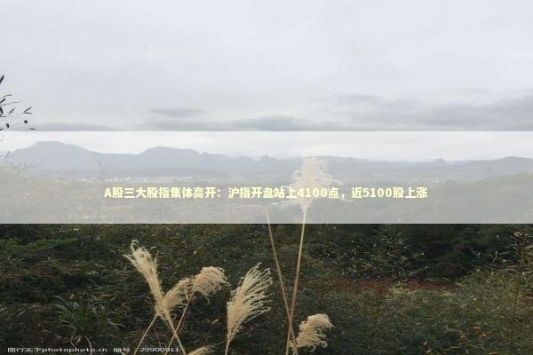 A股三大股指集体高开:沪指开盘站上4100点,近5100股上涨 A股三大股指集体高开:沪指开盘站上4100点,近5100股上涨 新闻