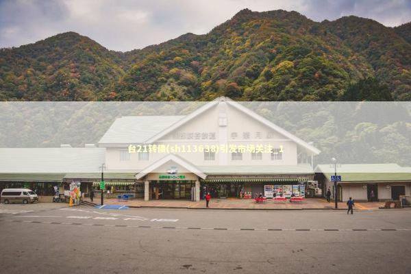 台21转债(sh113638)引发市场关注_1 台21转债(sh113638)引发市场关注_1 新闻