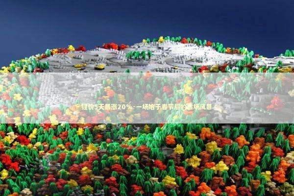 锂价5天暴涨20%-一场始于春节后的市场风暴 新闻