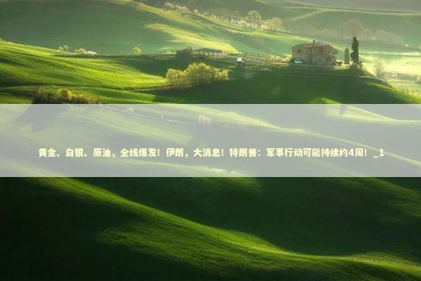 黄金、白银、原油,全线爆发!伊朗,大消息!特朗普:军事行动可能持续约4周!_1 黄金、白银、原油,全线爆发!伊朗,大消息!特朗普:军事行动可能持续约4周!_1 新闻