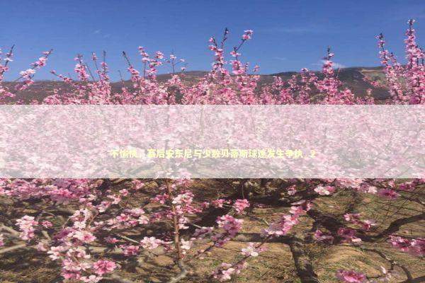 不愉快，赛后安东尼与少数贝蒂斯球迷发生争执_2 新闻