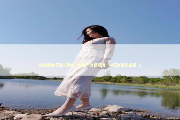 券商佣金调整不及时，转销户流程繁琐！中证协最新通报_1 新闻