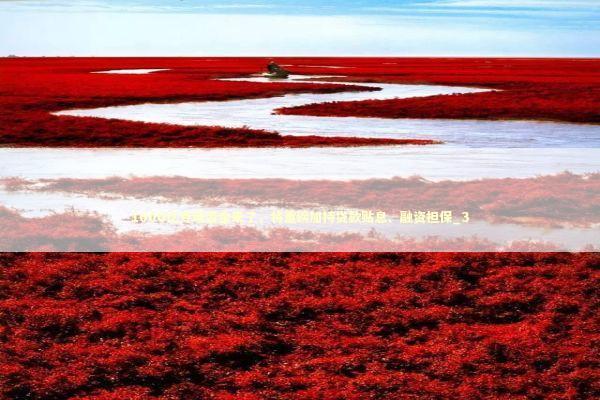 1000亿专项资金来了,将重磅加持贷款贴息、融资担保_3 1000亿专项资金来了,将重磅加持贷款贴息、融资担保_3 新闻