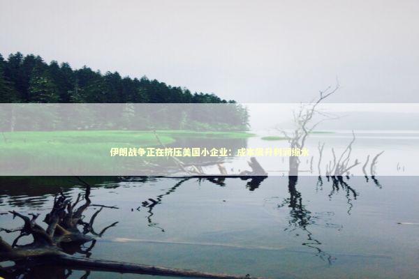 伊朗战争正在挤压美国小企业：成本飙升利润缩水 新闻