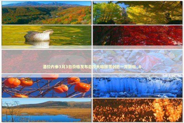 酒价内参3月3日价格发布总价大幅回落创近一月新低_6 酒价内参3月3日价格发布总价大幅回落创近一月新低_6 新闻