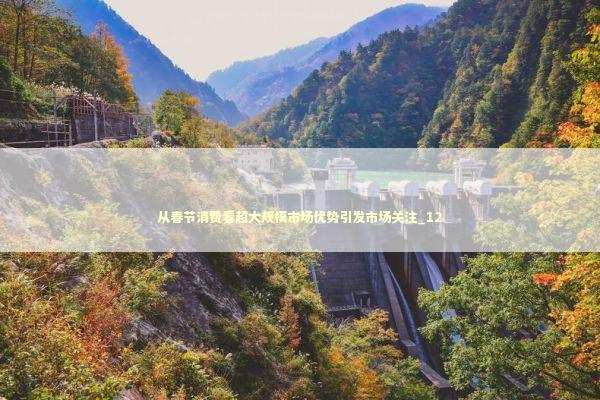 从春节消费看超大规模市场优势引发市场关注_12 新闻