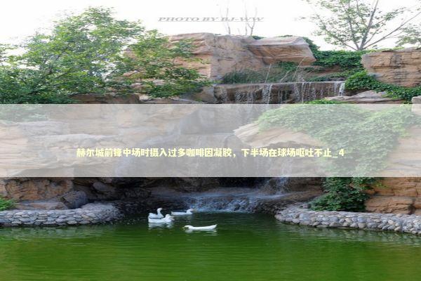 赫尔城前锋中场时摄入过多咖啡因凝胶,下半场在球场呕吐不止_4 赫尔城前锋中场时摄入过多咖啡因凝胶,下半场在球场呕吐不止_4 新闻