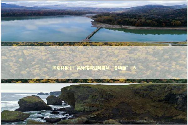 挥别林俊旸：吴泳铭再迎阿里AI“名场面”_6 新闻