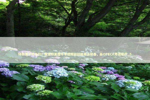 特朗普不怕油价?报道称美国不考虑释放战略原油储备,而OPEC+考虑增产_5 特朗普不怕油价?报道称美国不考虑释放战略原油储备,而OPEC+考虑增产_5 新闻