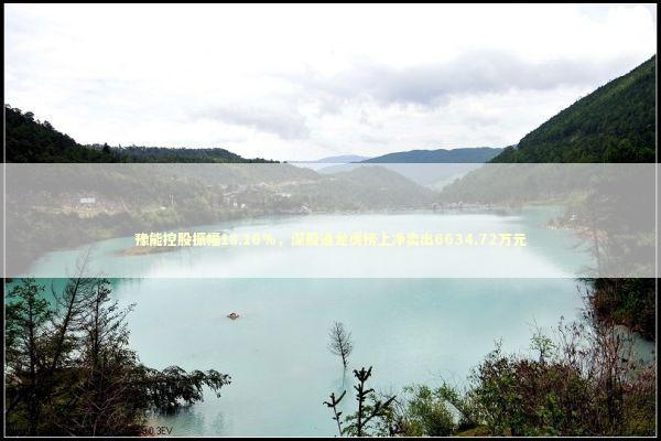 豫能控股振幅18.16%，深股通龙虎榜上净卖出6634.72万元 新闻