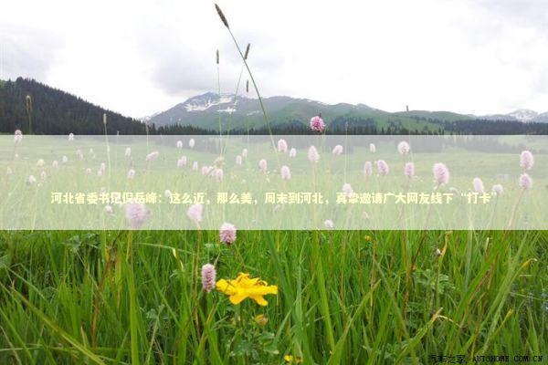 河北省委书记倪岳峰：这么近，那么美，周末到河北，真挚邀请广大网友线下“打卡” 新闻
