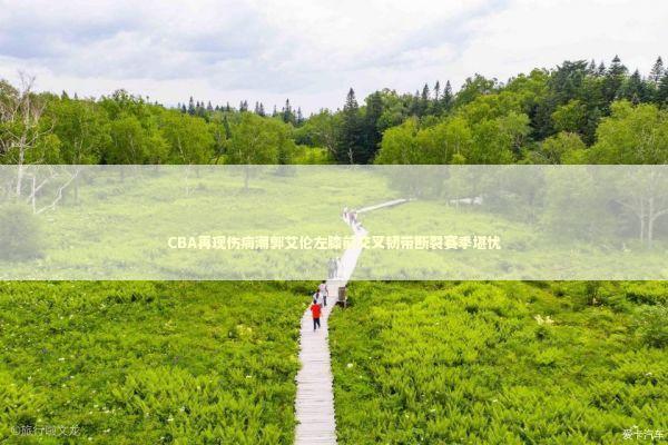 CBA再现伤病潮郭艾伦左膝前交叉韧带断裂赛季堪忧 CBA再现伤病潮郭艾伦左膝前交叉韧带断裂赛季堪忧 新闻