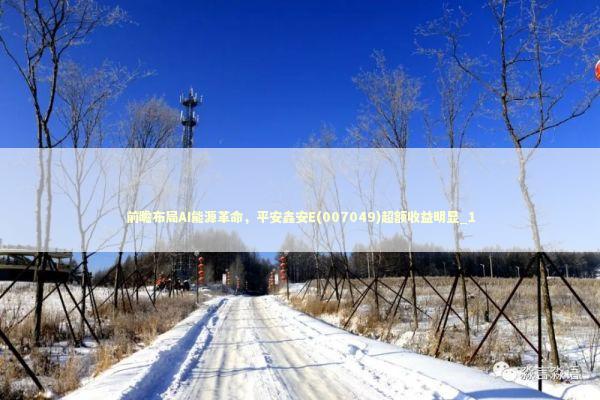 前瞻布局AI能源革命,平安鑫安E(007049)超额收益明显_1 前瞻布局AI能源革命,平安鑫安E(007049)超额收益明显_1 新闻