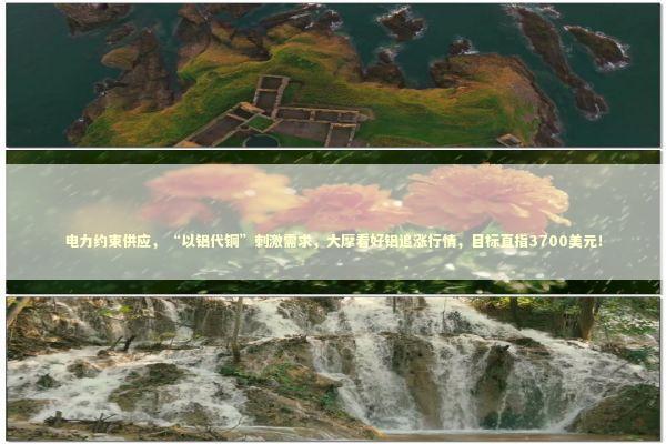 电力约束供应,“以铝代铜”刺激需求,大摩看好铝追涨行情,目标直指3700美元! 电力约束供应,“以铝代铜”刺激需求,大摩看好铝追涨行情,目标直指3700美元! 新闻