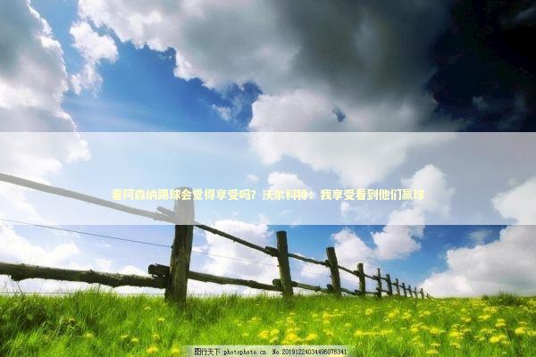 看阿森纳踢球会觉得享受吗？沃尔科特：我享受看到他们赢球 新闻