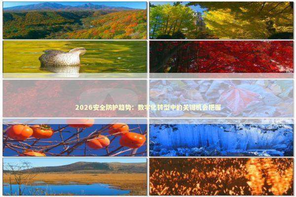 2026安全防护趋势:数字化转型中的关键机会把握 2026安全防护趋势:数字化转型中的关键机会把握 新闻