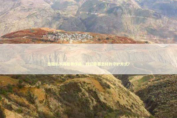 当隐私不再是奢侈品,我们需要怎样的守护方式? 当隐私不再是奢侈品,我们需要怎样的守护方式? IT技术