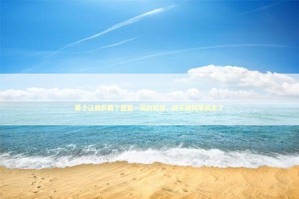 那个让我折腾了整整一周的软件，终于被同事搞定了 IT技术