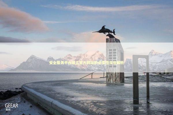 安全服务平台建立官方网站的必要性深度解析 IT技术