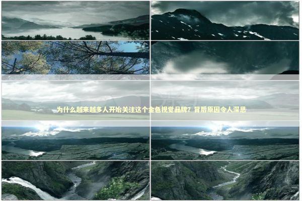 为什么越来越多人开始关注这个金色视觉品牌？背后原因令人深思 时尚用品