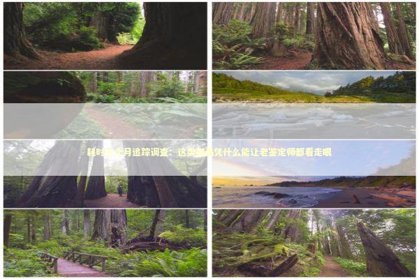 耗时三个月追踪调查：这类奢品凭什么能让老鉴定师都看走眼 时尚用品