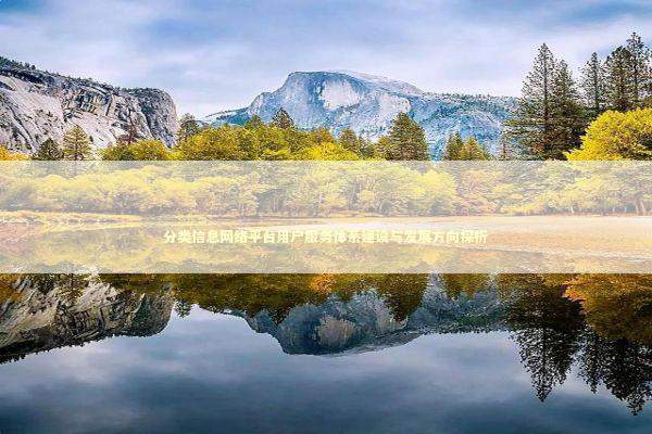 分类信息网络平台用户服务体系建设与发展方向探析 IT技术